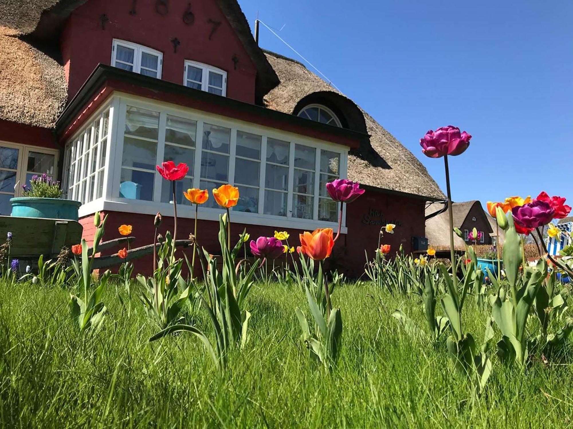 Hüs Sanskiin Ferienwohnung *Hopelfask* Suddorf Exteriör bild