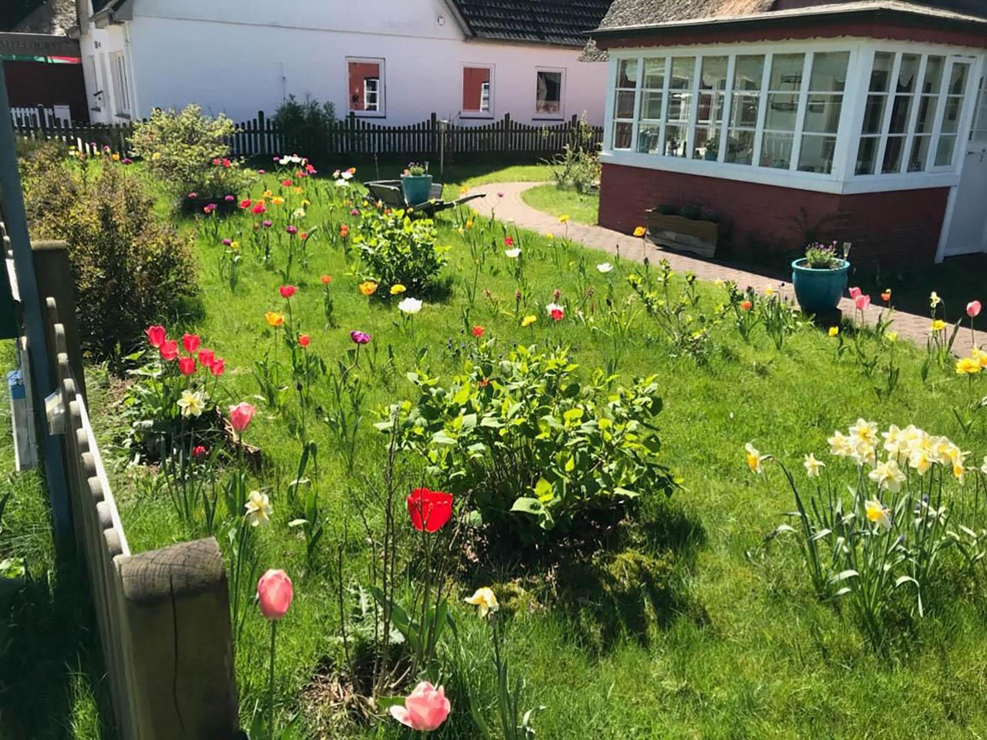 Hüs Sanskiin Ferienwohnung *Hopelfask* Suddorf Exteriör bild