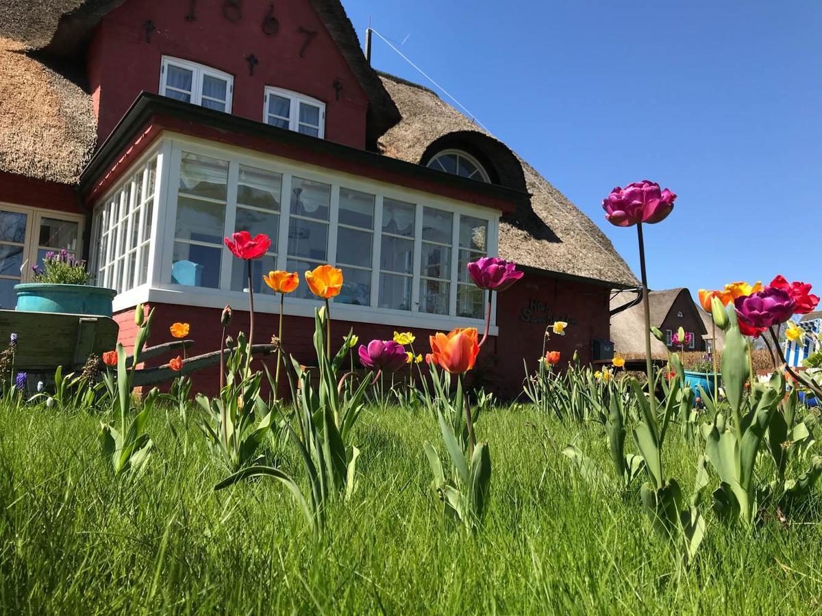 Hüs Sanskiin Ferienwohnung *Hopelfask* Suddorf Exteriör bild